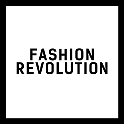 Logo from company, ally is: Liv Simpliciano, Policy & Research Manager, Fashion Revolution 