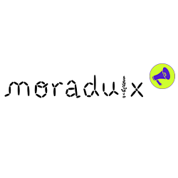 ##### Moraduix Kids produced 912 pieces in 2024