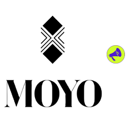 ##### MOYO produced 384 pieces in 2024