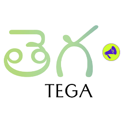 ##### Tega Collective produced 133 pieces in 2022